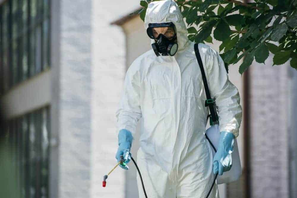 Web Services for Pest Control Business: Unlocking Online Success
